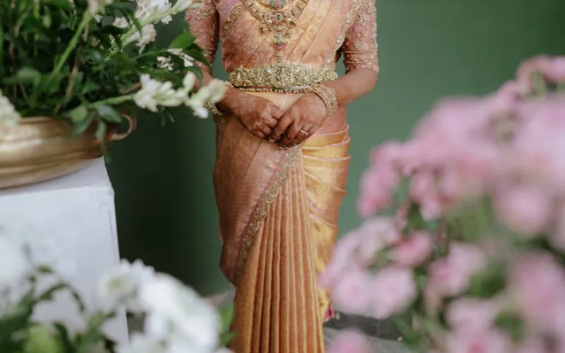 Clean and amazing saree drape by MJ Gorgeous